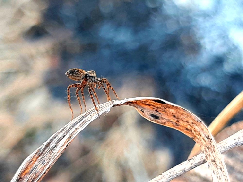 Photograph by Екатерина