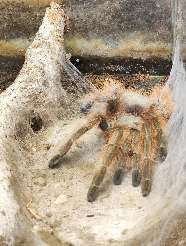 Photograph by Елена Казарина