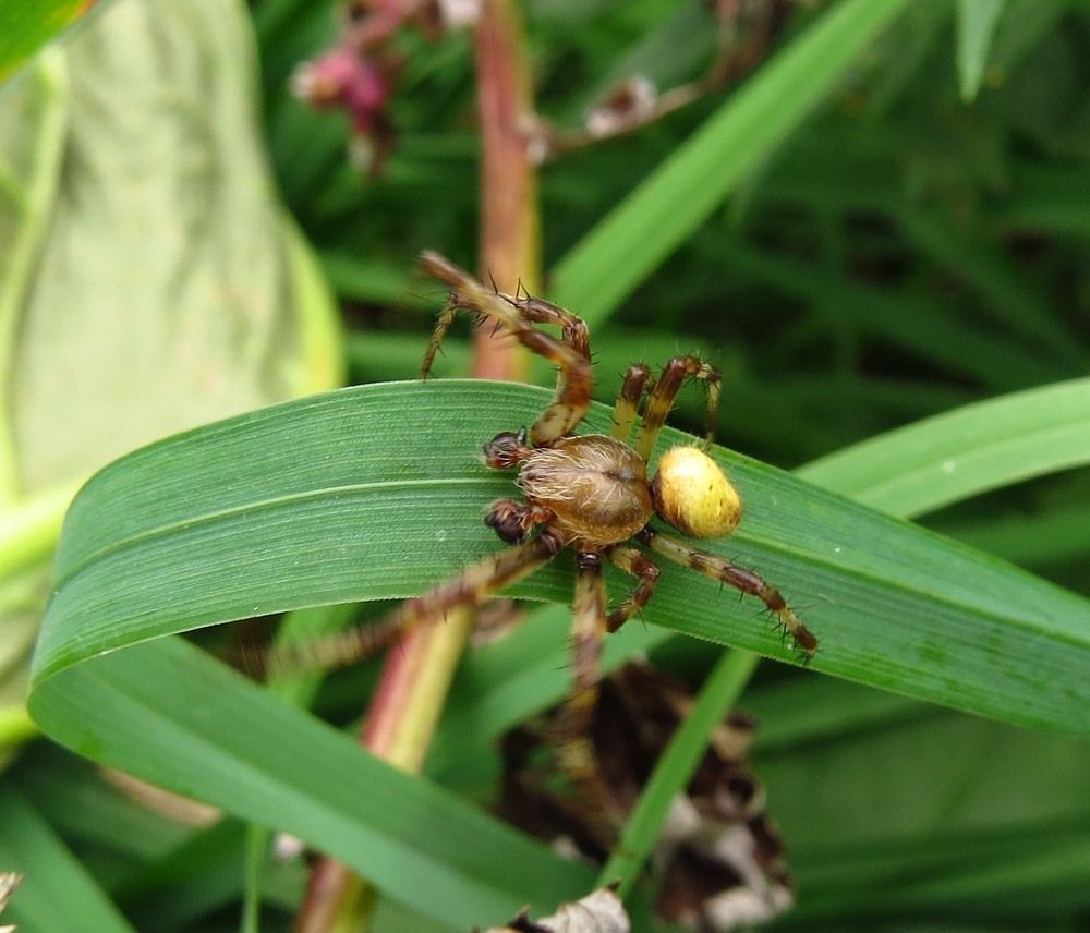 Photograph by Елена Казарина