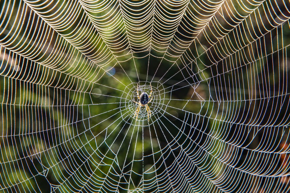 Ажурная работа