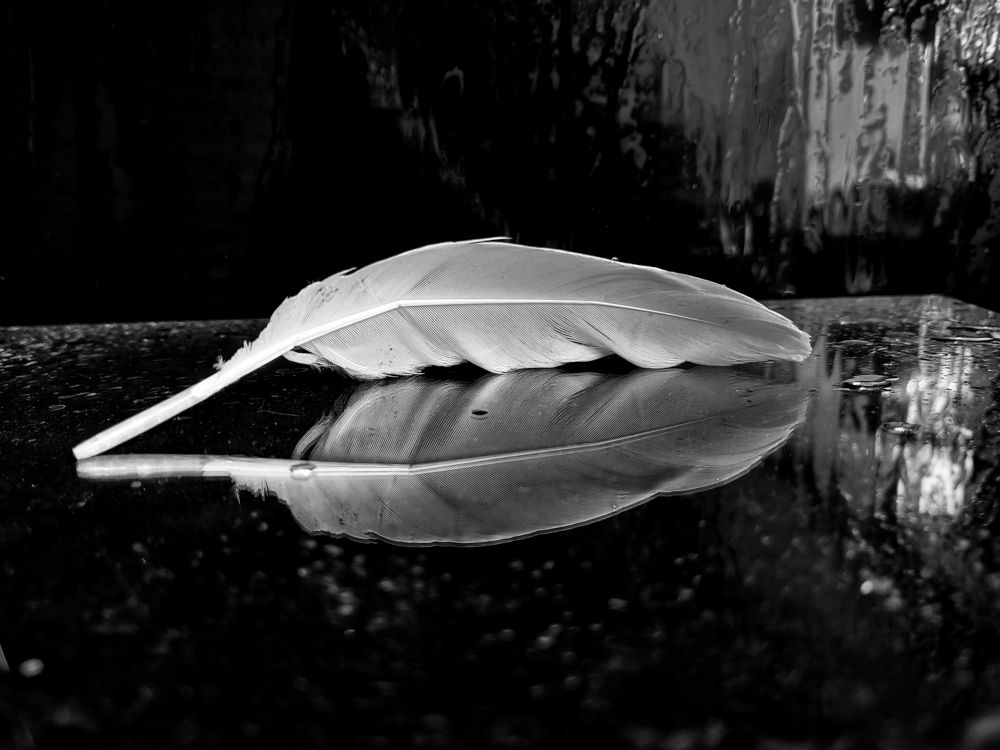 Photograph by Татьяна Егорова