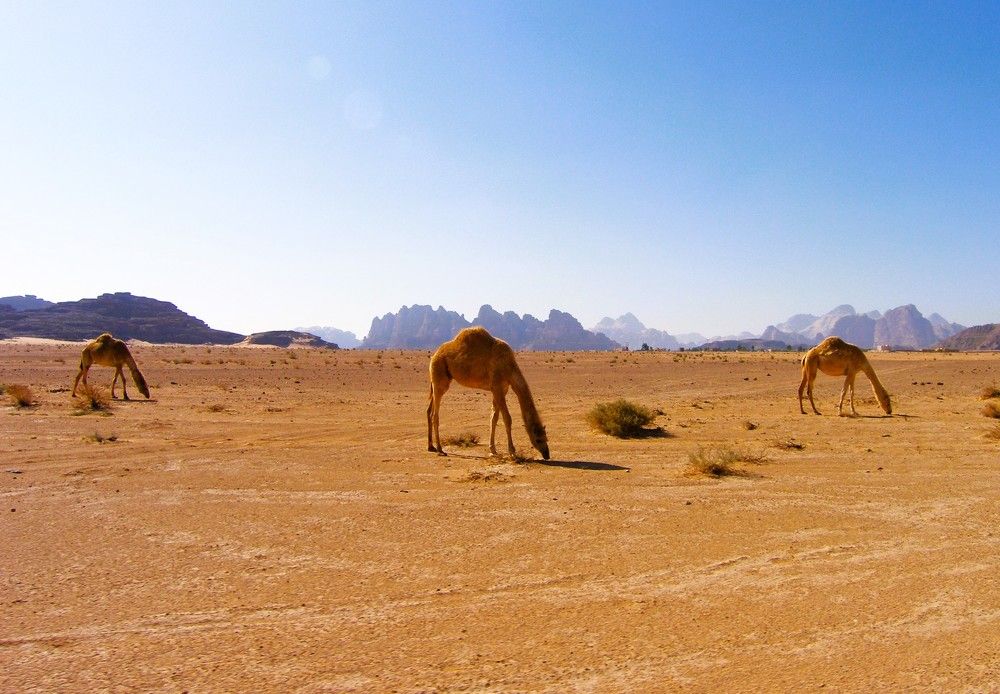 Photograph by Наталия Мельникова