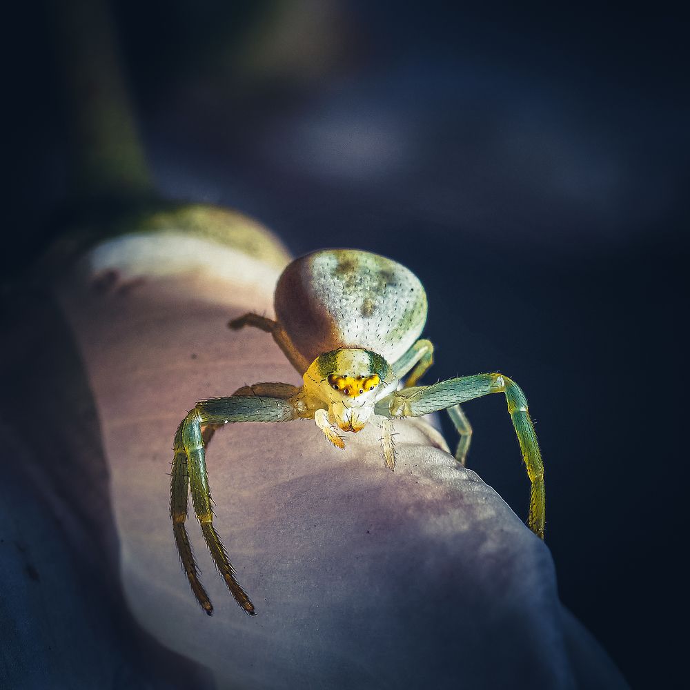 Photograph by Александр Данилов