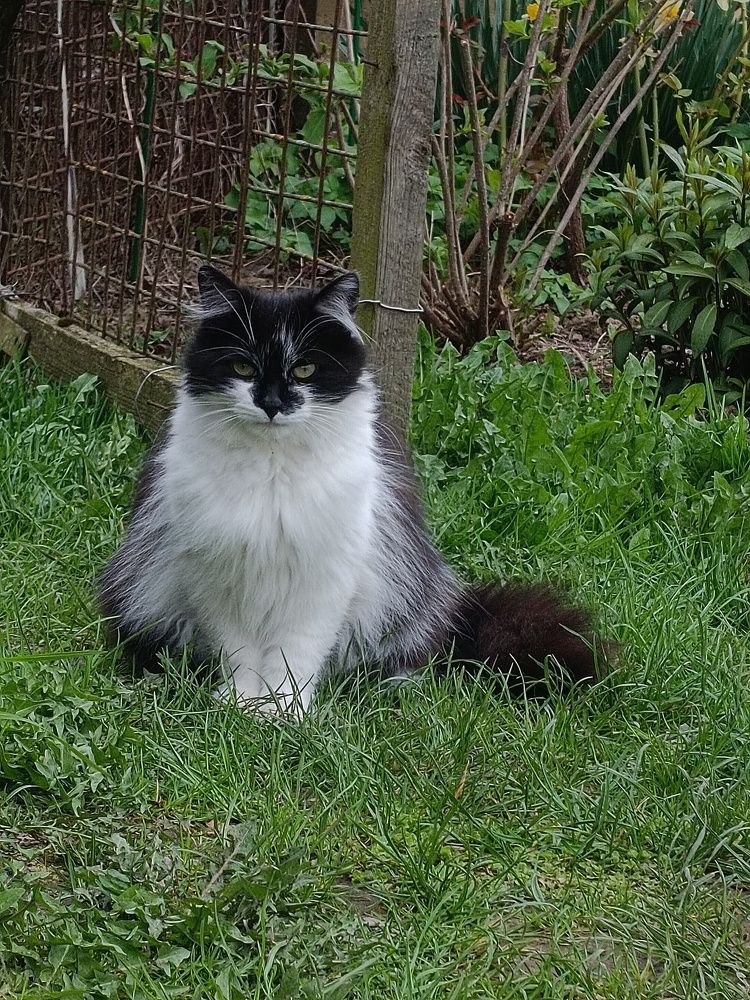 Photograph by Елена Пархоменко