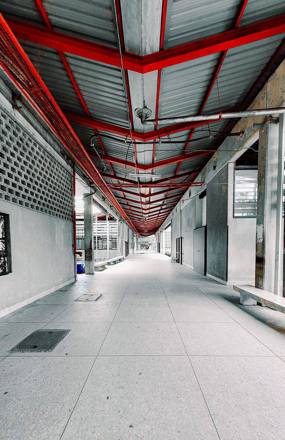 Photo #10552171