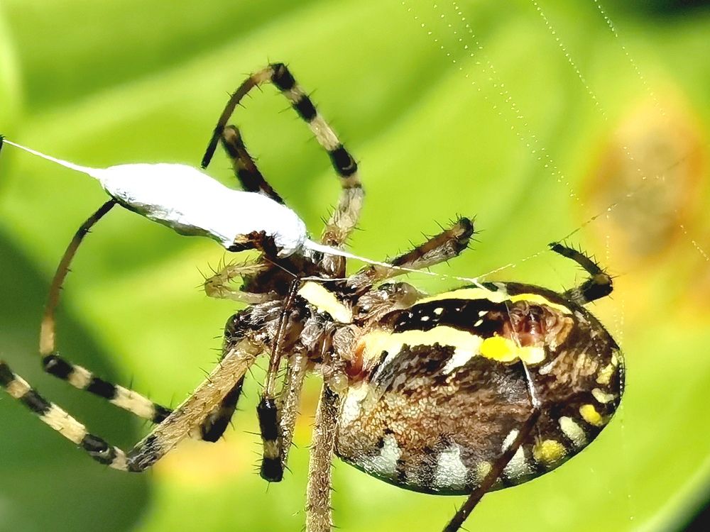 Photograph by Alen Brkić