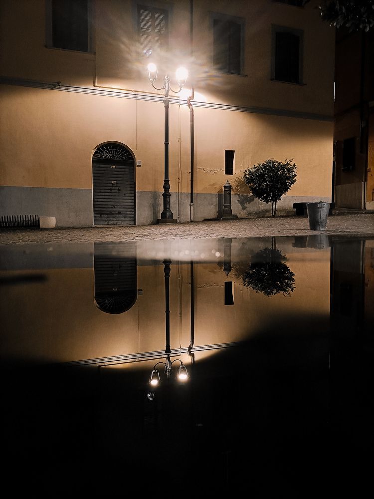 Photograph by Iryna Shyshkina