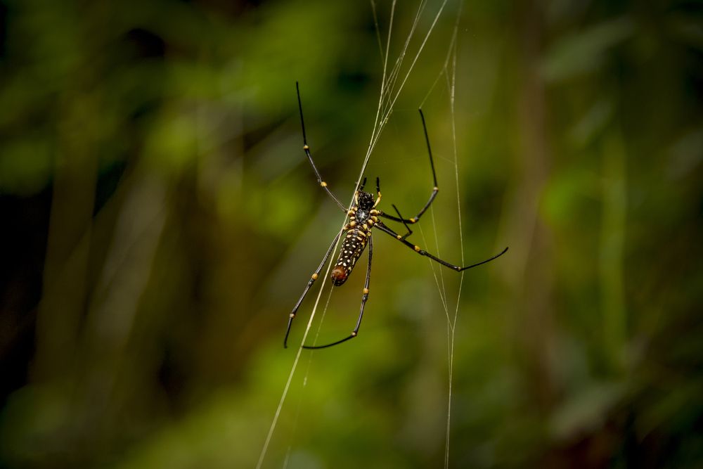 Photograph by DEBRAJ PURKAYASTHA