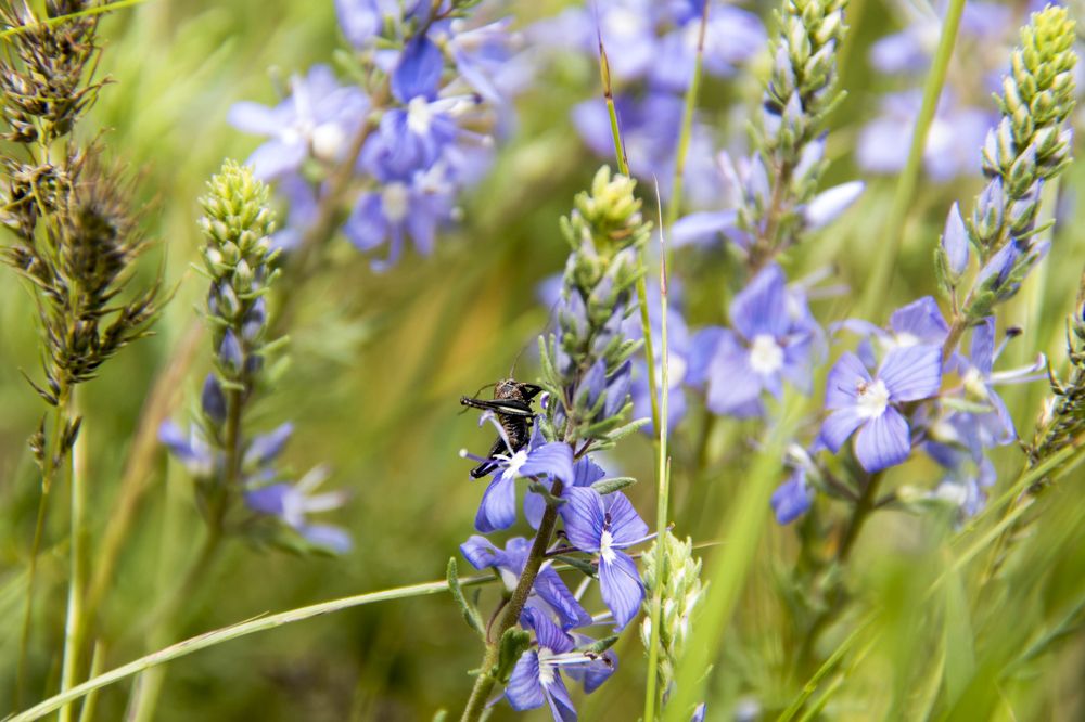 Фотография автора Мария