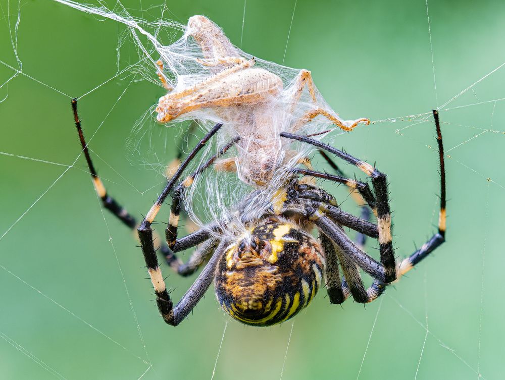 Photograph by Алексей Зайцев