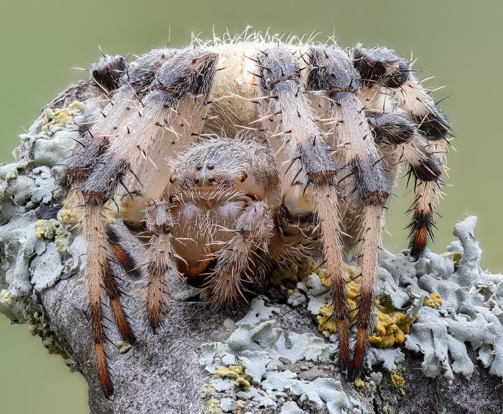 Photograph by Алексей Зайцев