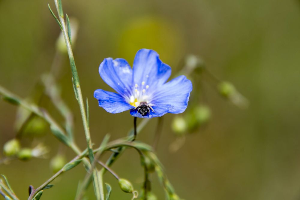 Фотография автора Мария