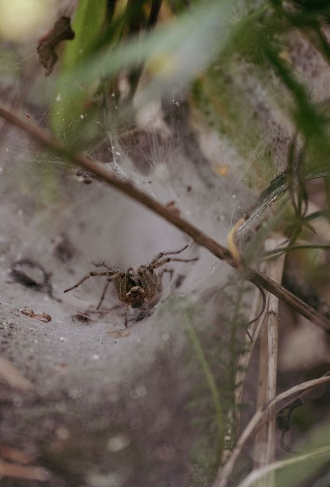 Photograph by Жанна Силаева