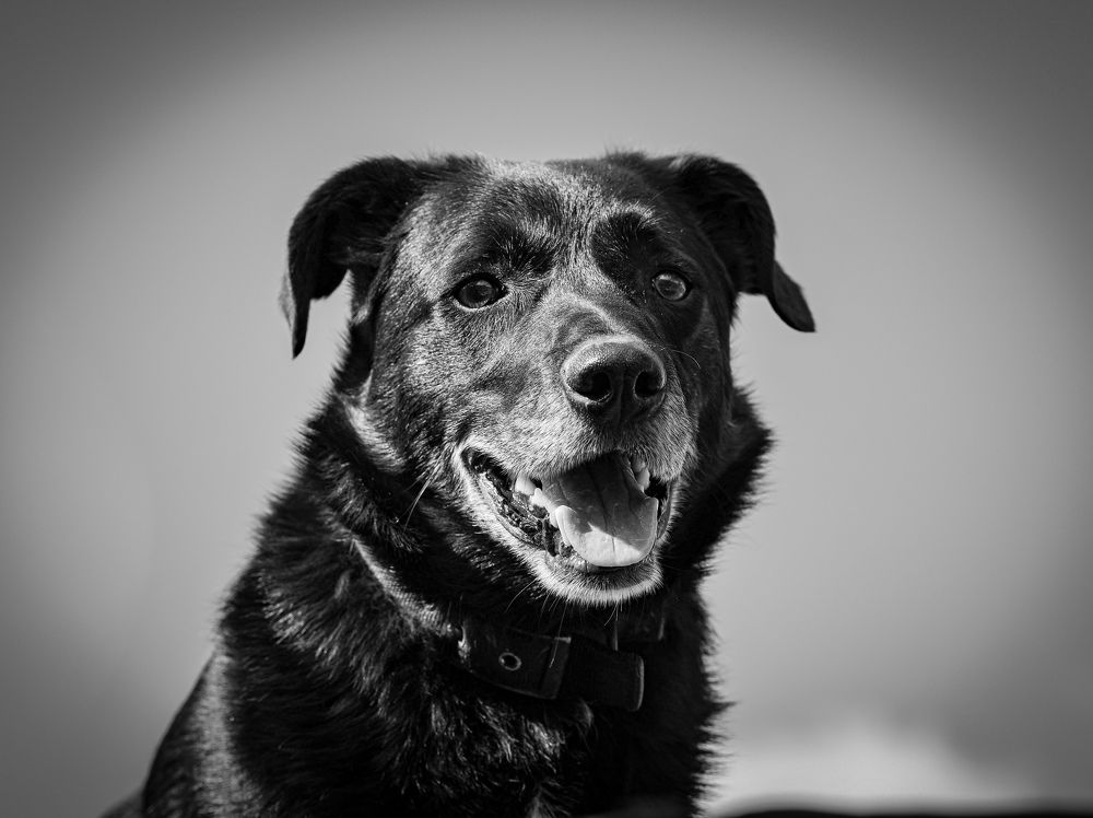 Фотография автора Rebecca