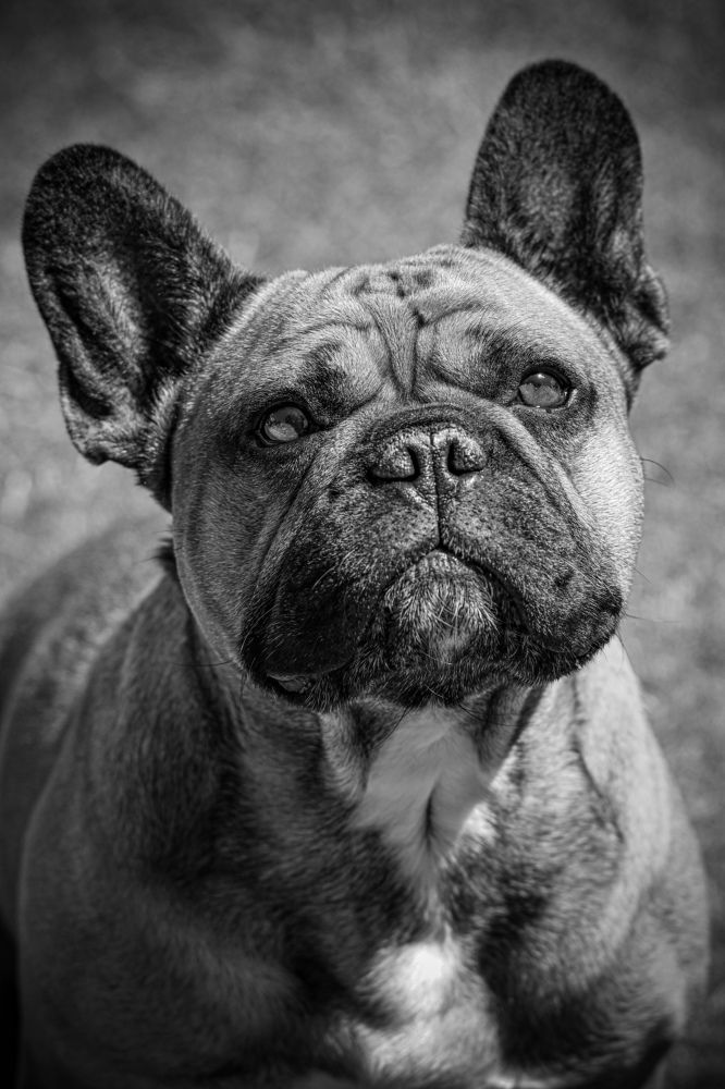 Фотография автора Rebecca