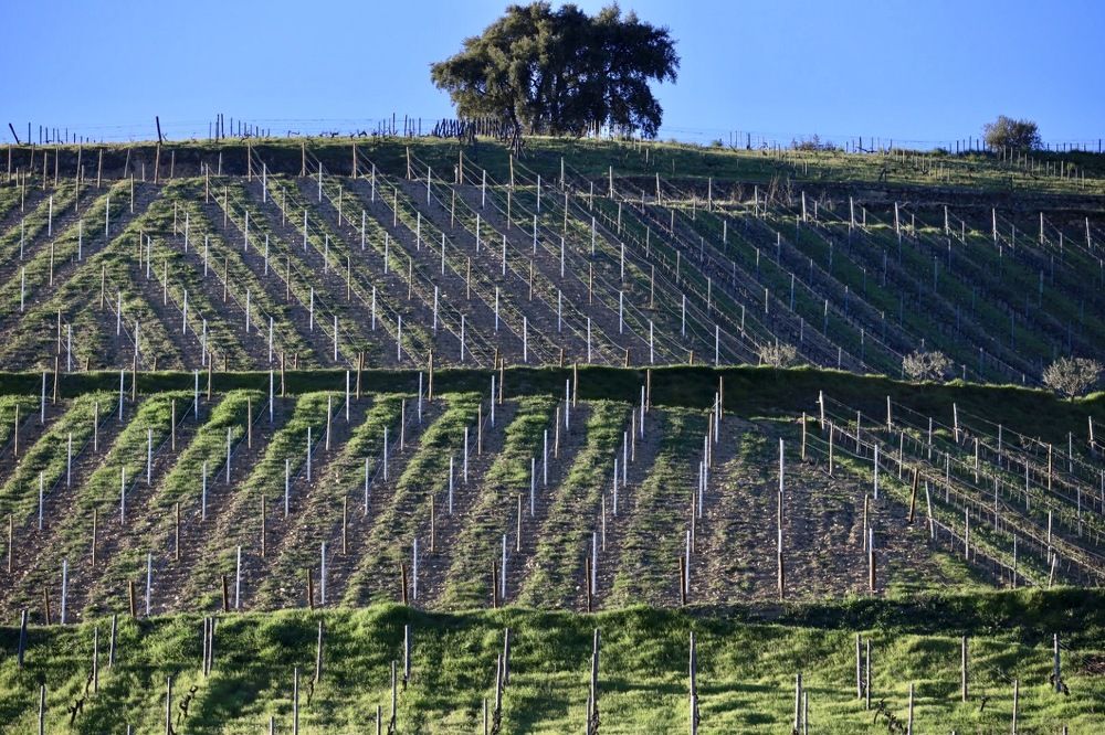 Photograph by Ольга Одаренко