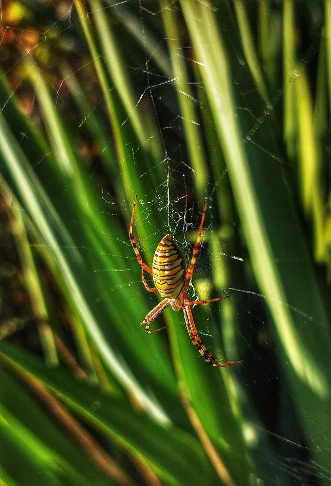 Photograph by Юлия Коробкова