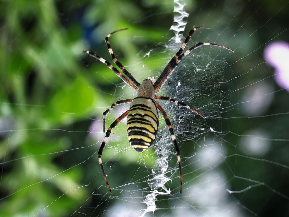 Photograph by Зорин Миша