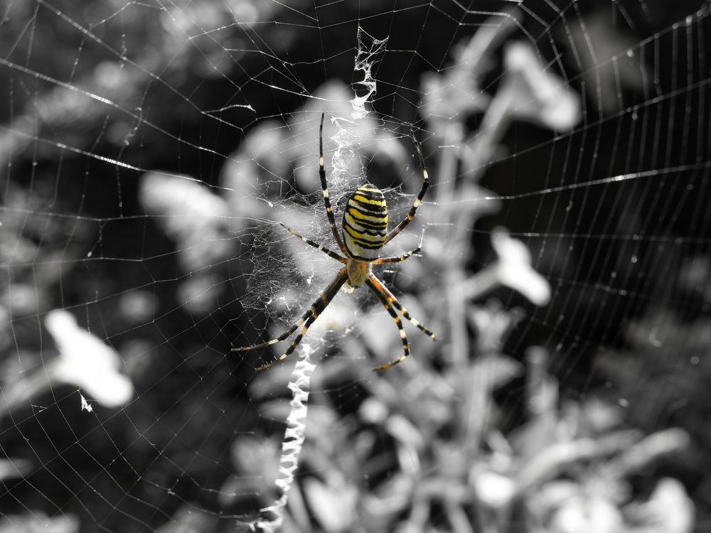 Photograph by Зорин Миша