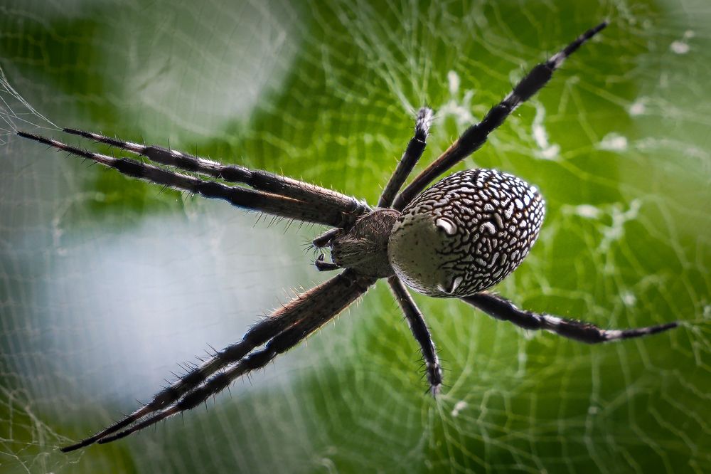 Фотография автора Pham Anh Vu