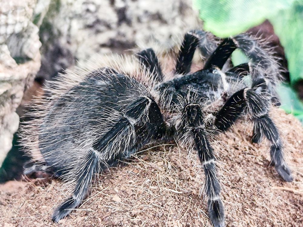 Photograph by Ирина Шибитова