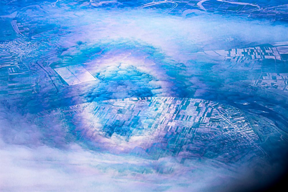 Фотография автора ADLER GOLDFARB