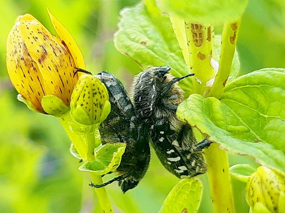 Photograph by Екатерина