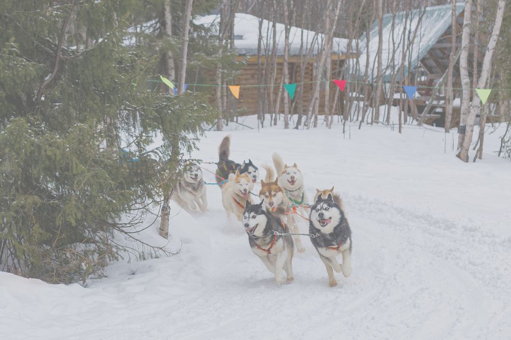 Photograph by Татьяна Пелгонен