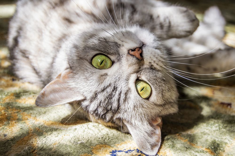 Photograph by Елизавета Гаранжа