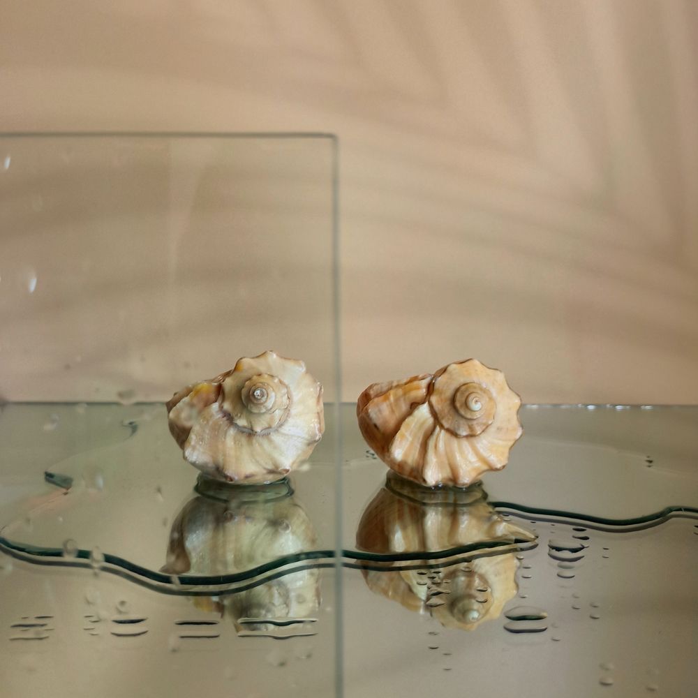 Фотография автора Татьяна Шахова