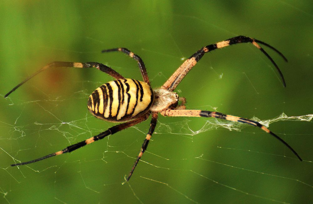 Photograph by hasan jouri