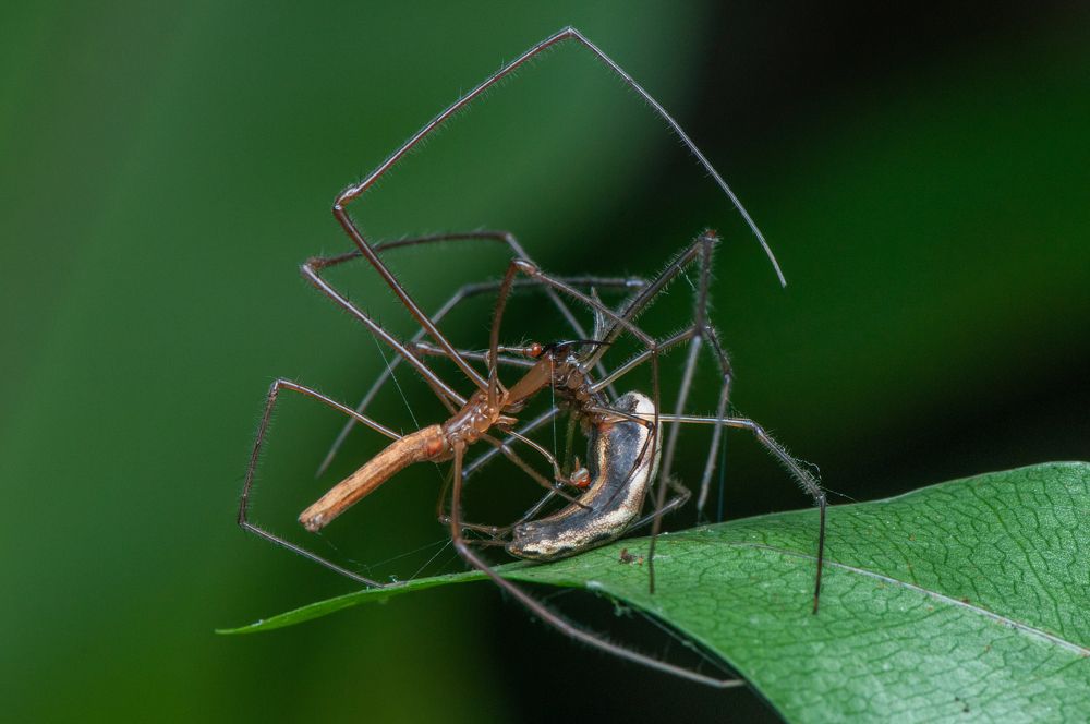 Photograph by Chamara Sulakkhana Polwatta Siriyalage