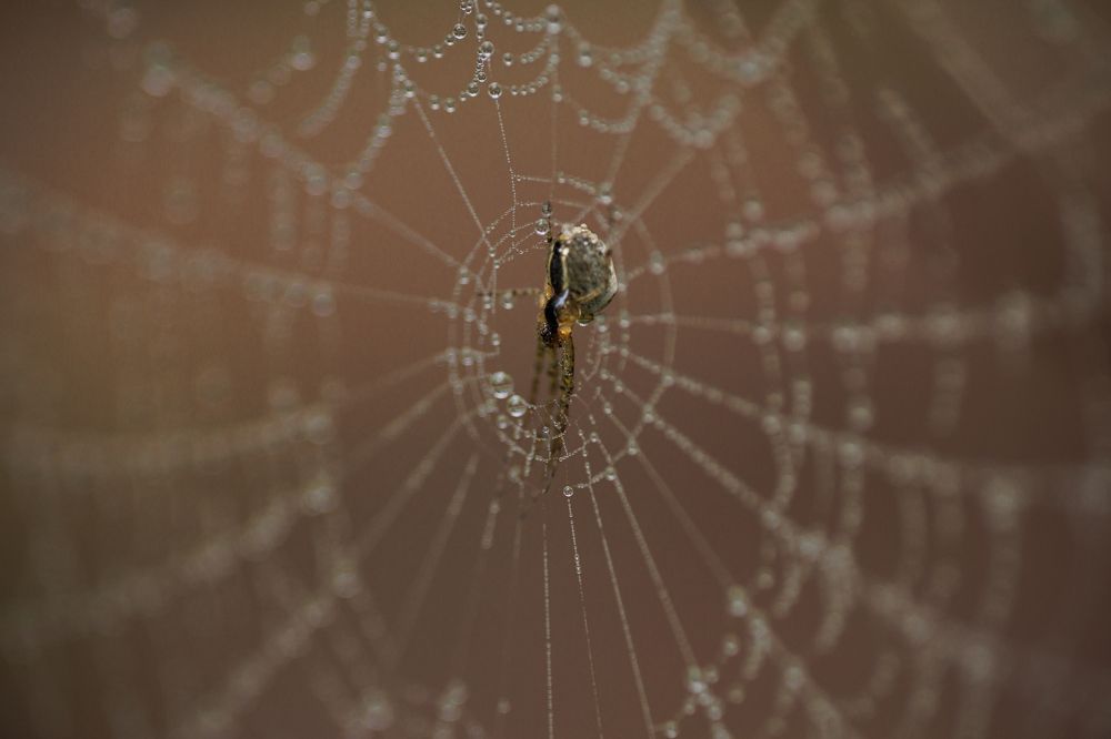 Photograph by Екатерина Овсянникова