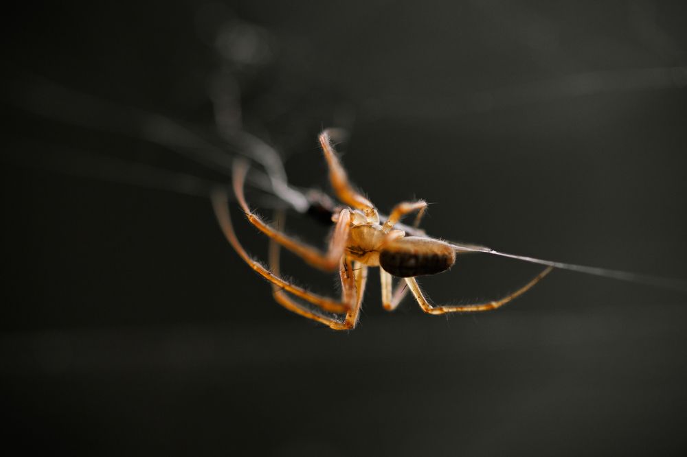 Photograph by Екатерина Овсянникова