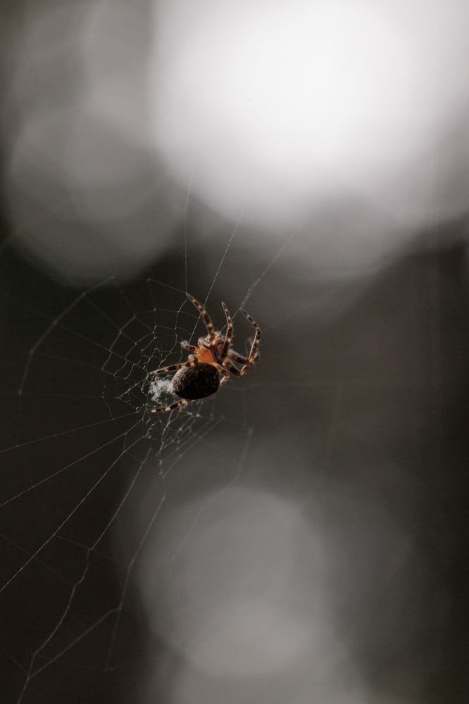 Photograph by Екатерина Овсянникова