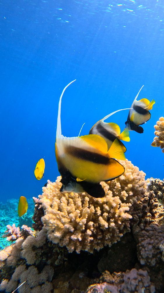 Photograph by Мария Берёзка