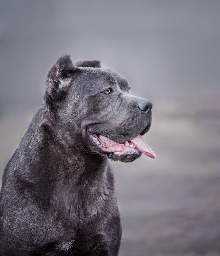 Photograph by Евгения Барановская