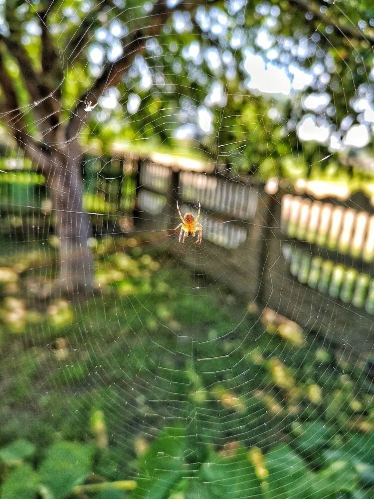 Photograph by Alexey Nuzha