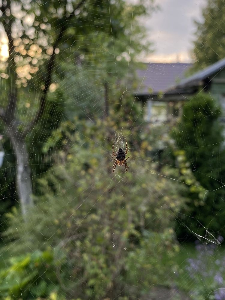 Photograph by Alexey Nuzha