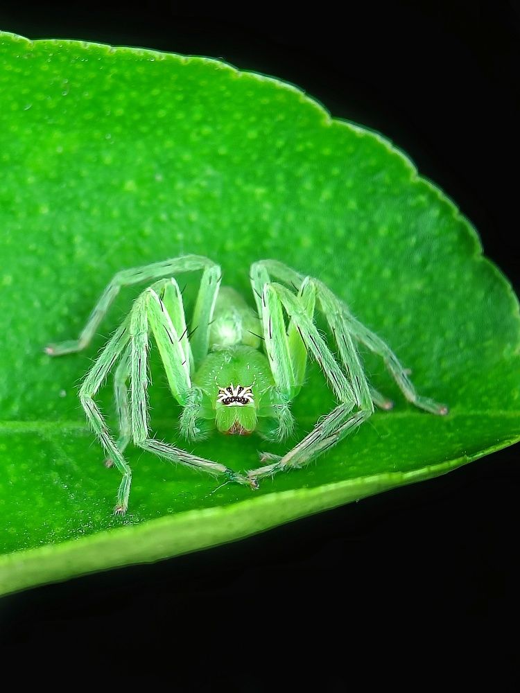 Photograph by Meeha begum N