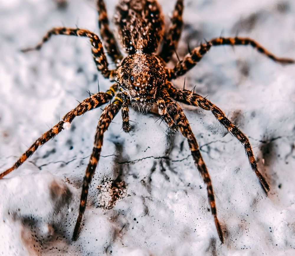 Фотография автора Юлия