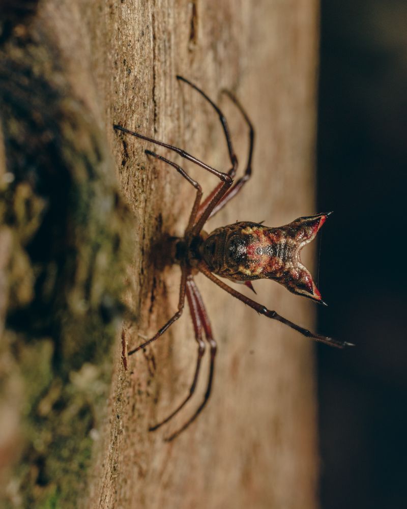 Photograph by Alexandre Canteiro Soares