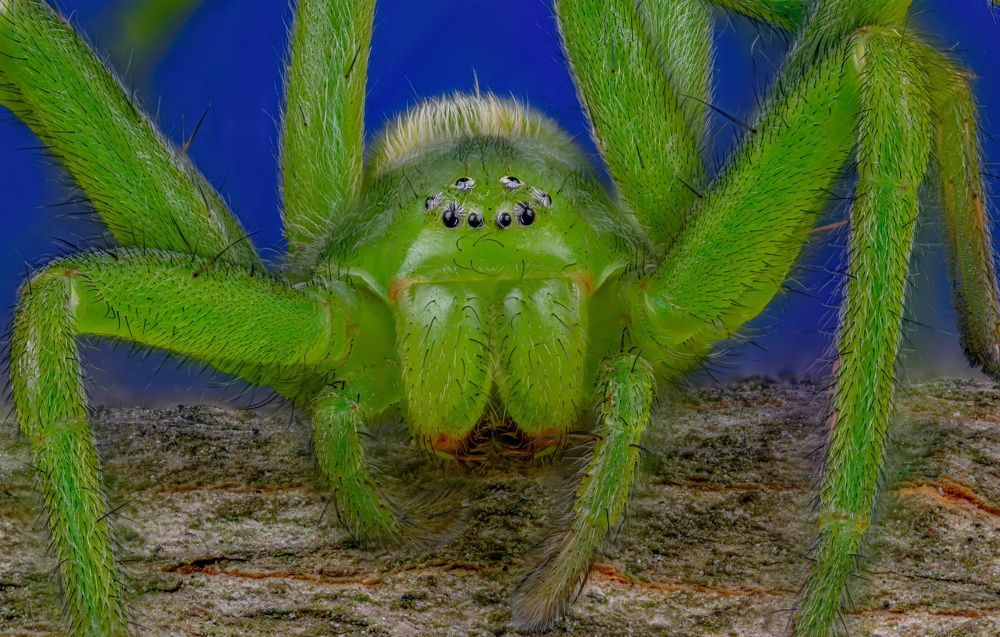 Photograph by Овечкин Павел