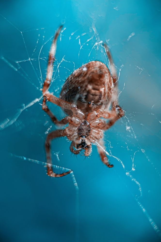 Photograph by Вадим Басов