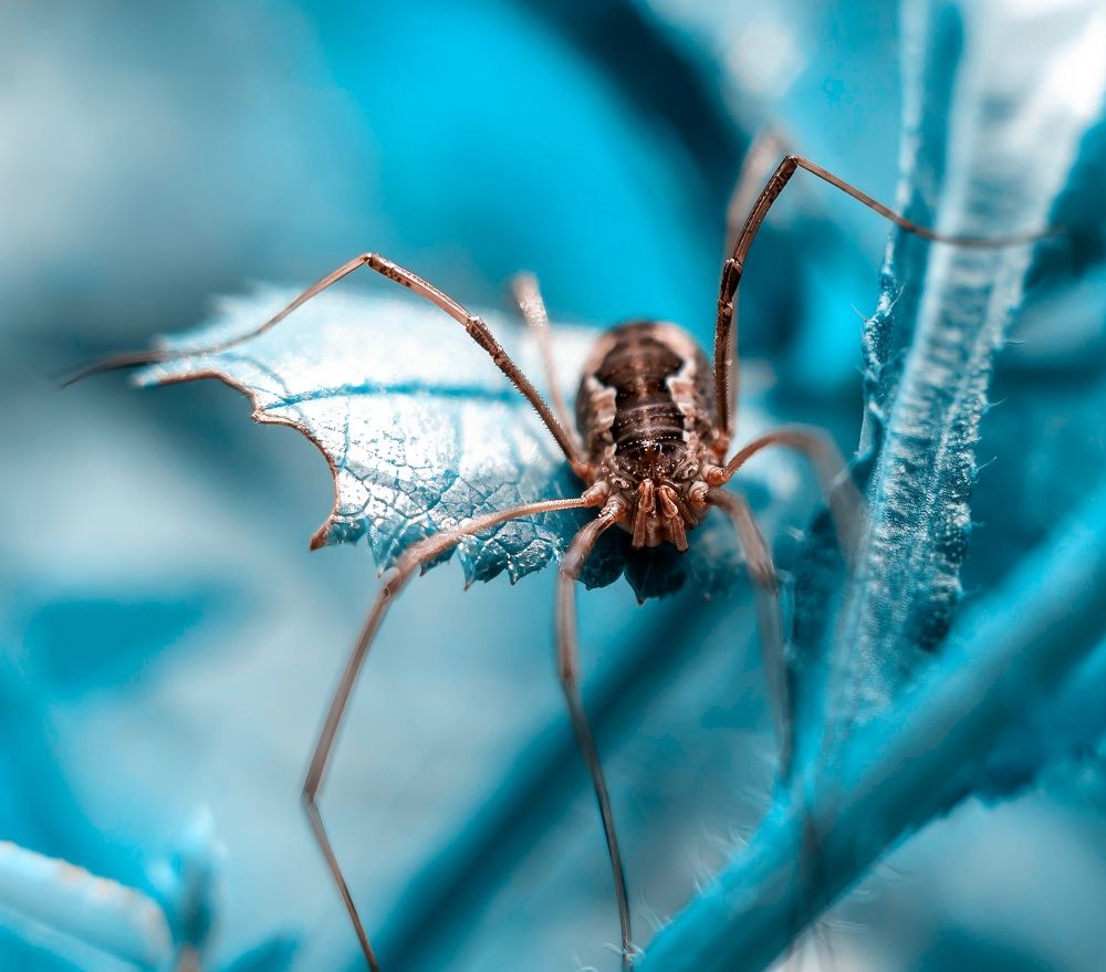 Photograph by Вадим Басов