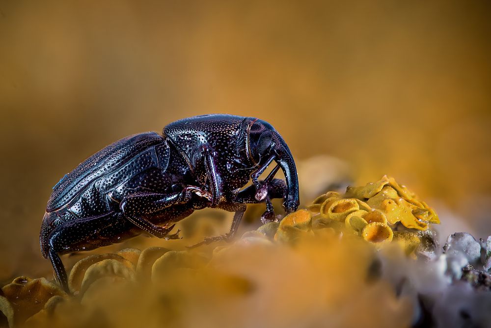 Photograph by Юрий Яковлевич