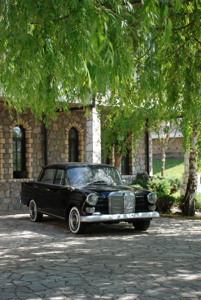 Photograph by Анна Невструева