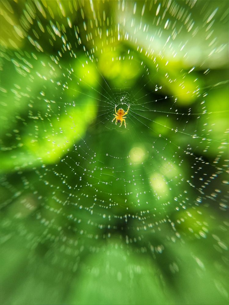 Photograph by Виктория Дайлидова