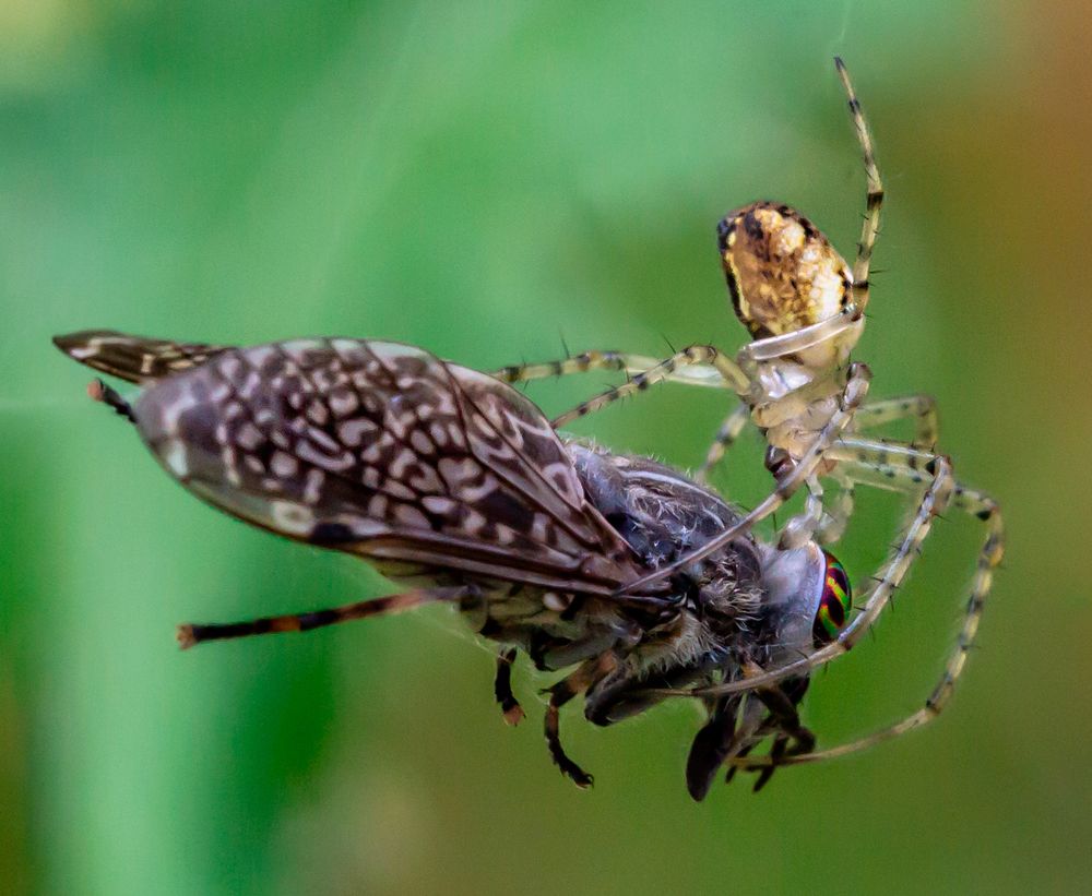 Фотография автора Людмила Прокофьева