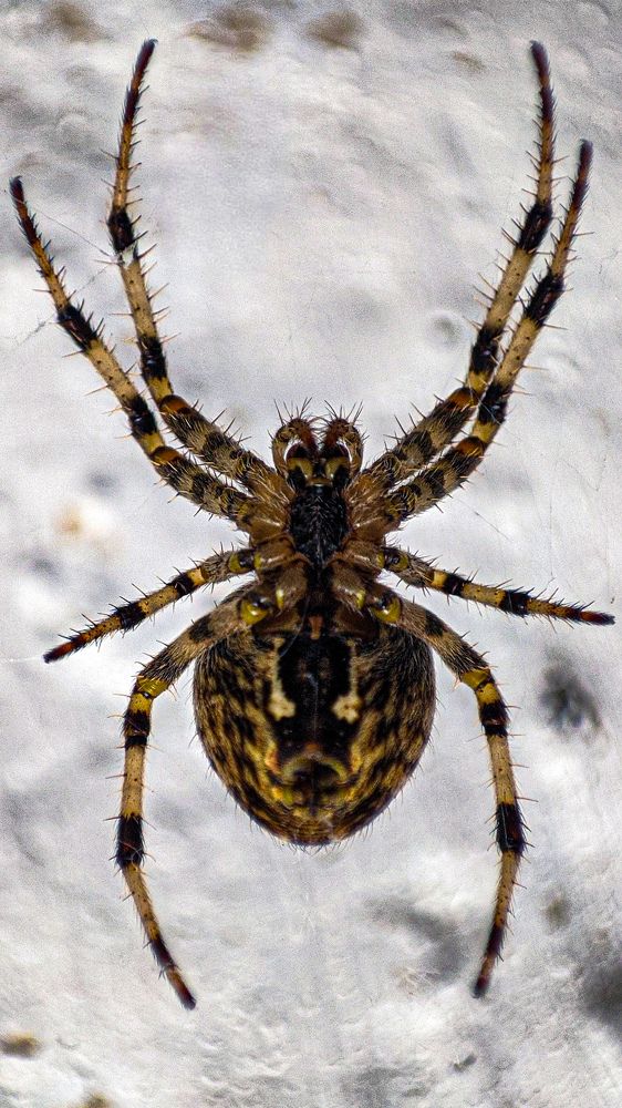 Photograph by Иван Егупов